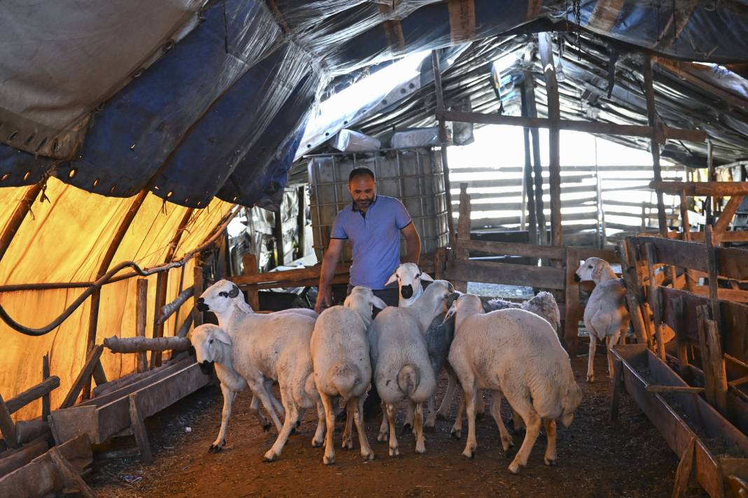 Besiciler kurban pazarlarından ayrılmaya başladı - Resim: 20